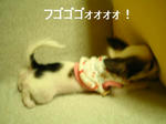 IMG_2994a.JPG