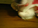 IMG_3044.JPG