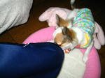 IMG_3277.JPG