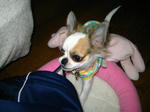 IMG_3278.JPG