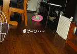 IMG_3289.JPG