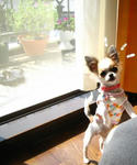 IMG_3322a.JPG