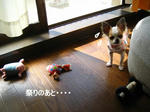 IMG_3323c.JPG