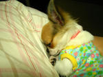 IMG_3378.JPG