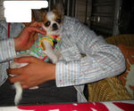 IMG_3440a.JPG