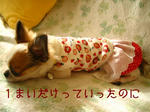 IMG_3577a.JPG