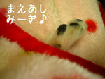 IMG_3586.JPG