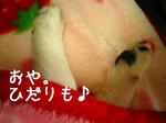 IMG_3587.JPG