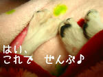 IMG_3589.JPG