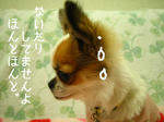 IMG_3625a.JPG