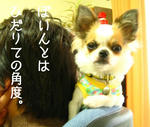 IMG_3635a.JPG