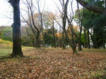 IMG_3659.JPG