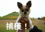 IMG_3664a.JPG