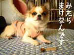 IMG_3677a.JPG