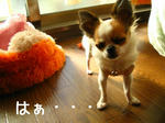 IMG_3689b.JPG