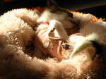 IMG_3715.jpg