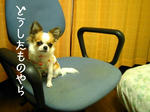 IMG_3727.jpg