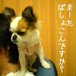IMG_3763.JPG