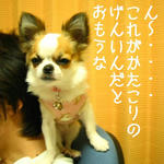 IMG_3764.JPG