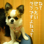 IMG_3765.JPG