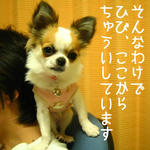 IMG_3766.JPG