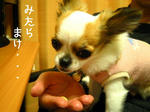 IMG_3768.jpg