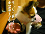 IMG_3771.jpg