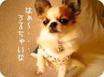 IMG_3792a.JPG