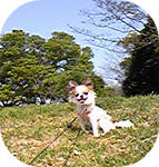 090419_140942.jpg