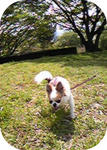 090419_140814.jpg