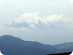 IMG_4242.JPG