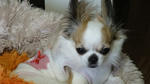 DSC00108.JPG