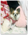 101003_202934a.jpg