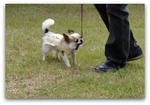 DSC01025a.jpg