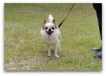 DSC01026a.jpg