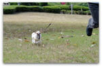 DSC01027a.jpg