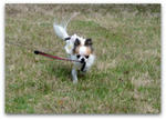 DSC01028a.jpg