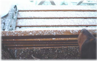0213-5.jpg