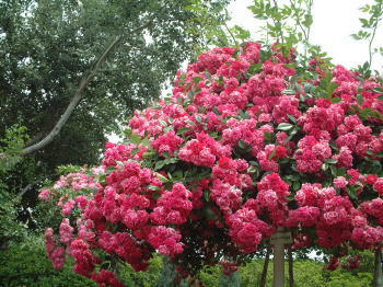 0609-7.jpg
