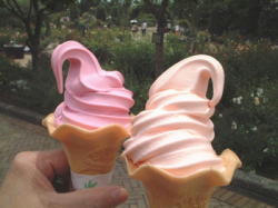 0609-9.jpg