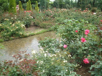 0609-10.jpg