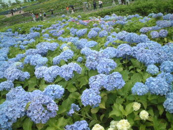0610-5.jpg