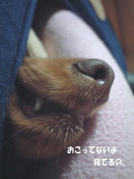 0623-3.jpg