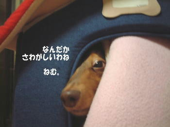 0623-4.jpg