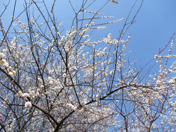 090302-1.jpg