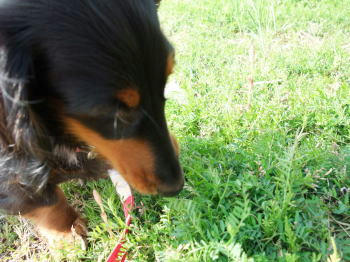 090401-1.jpg