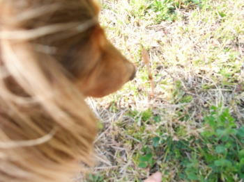 090401-2.jpg