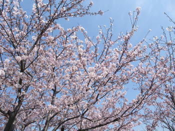 090406-1.jpg
