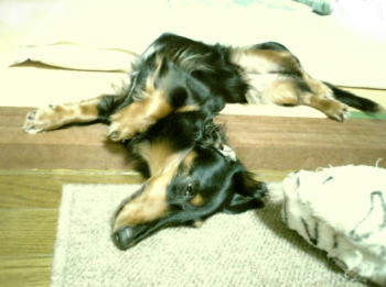 0906024.jpg
