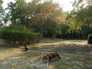091101-1.jpg